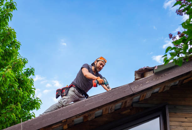 Best Asphalt Shingles Roofing  in Milford, IA